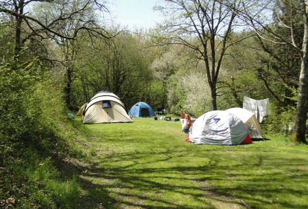 Ein Campingplatz in einem Wald mit mehreren Zelten. Die grüne Wiese ist von Bäumen umgeben und es ist sonnig.