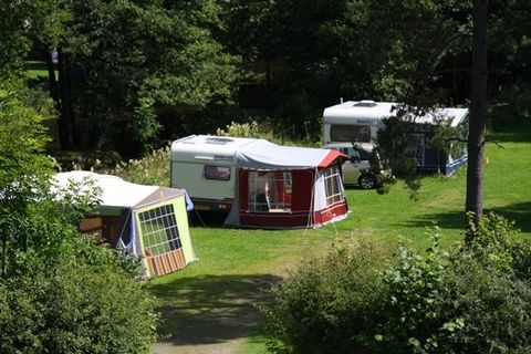 A campsite with several motorhomes and tents amidst green grass and trees. The surroundings are quiet and nature-friendly.