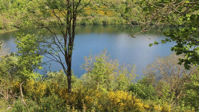 A peaceful lake surrounded by lush greenery and colorful flowers. The clear surface reflects the surrounding nature.
