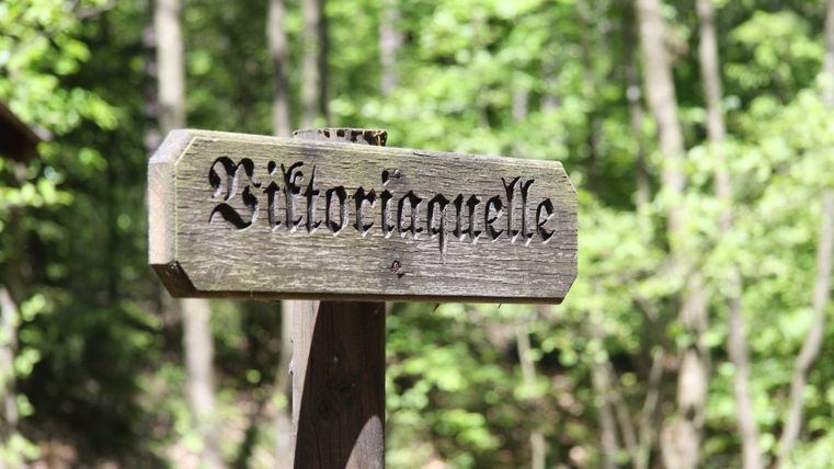 Holzschild mit der Aufschrift 'Viktoriaquelle' im Wald.