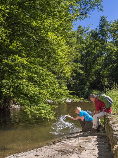 A peaceful river surrounded by green trees. Two people are sitting by the shore and enjoying nature.