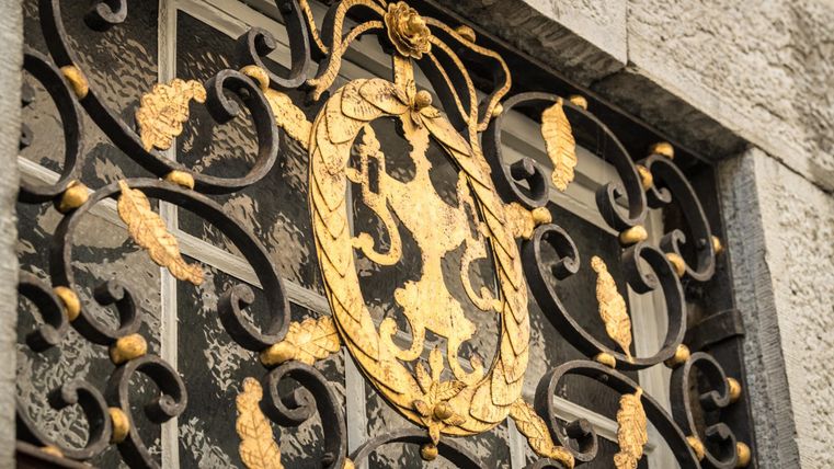 An artistic, golden lattice with a crest. The design features elegant details and adds character to the facade.