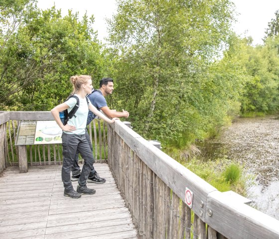 Zwei Personen stehen auf einer Holzplattform, umgeben von dichtem Grün. Ein Schild ist auf der Plattform angebracht., © Eifel Tourismus GmbH, AR-shapefruit AG