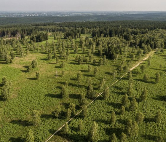 A bird's eye view of the Struffeltroute hiking trail, © Eifel Tourismus GmbH/D. Ketz