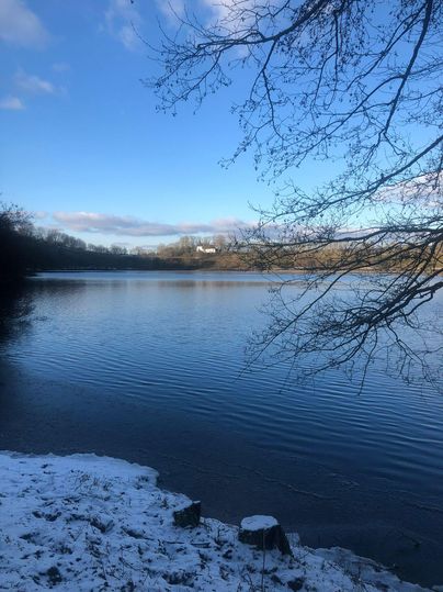 A tranquil lake in winter with a snow-covered shoreline. The sky is clear and blue, with a few clouds.