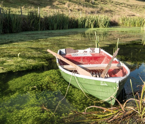 Pond on the Hinterbüsch path, © Eifel Tourismus GmbH/D.Ketz