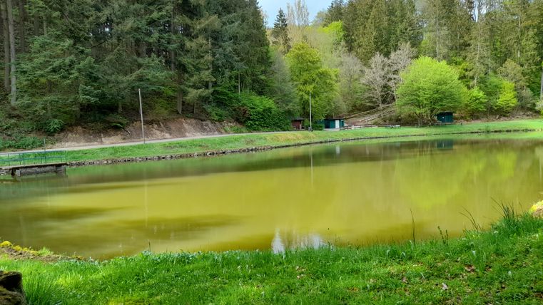 A quiet pond surrounded by green meadows and trees. The sky is lightly clouded, creating a peaceful atmosphere.