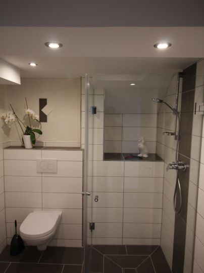 Een moderne badkamer met een glasdouche en een wc. De muren zijn licht betegeld en er staat een stijlvolle plant op de plank.