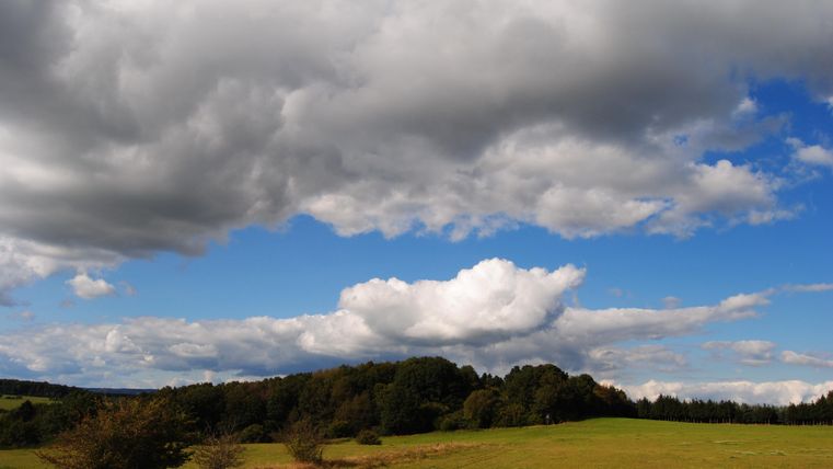 A hill, covered with grass and trees, under a slightly cloudy sky