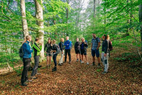 Een groep mensen staat in een bos en praat met elkaar. De omgeving is groen met veel bomen en herfstbladeren op de grond.