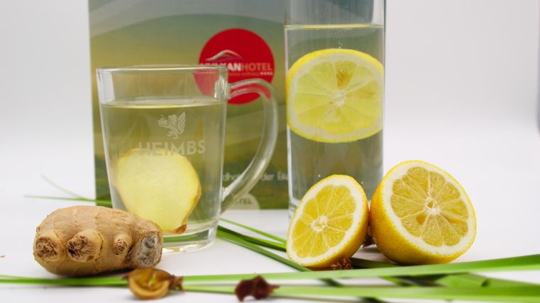 Ein frisches Getränk aus Ingwer und Zitrone in einem Glas. Neben dem Glas liegen geschnittene Zitronen und frischer Ingwer.