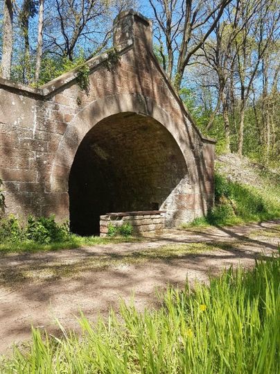 Ein alter, historischer Bogen mit einer Öffnung in einem Waldgebiet. Rund um das Gebäude wachsen grüne Gräser und Bäume.