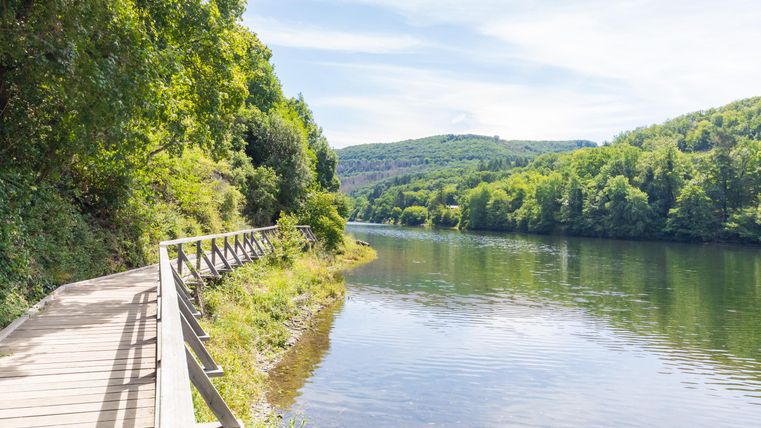 Ein malerischer Weg entlang eines ruhigen Flusses, umgeben von dichter grüner Vegetation. Die sanften Hügel im Hintergrund ergänzen die friedliche Landschaft.
