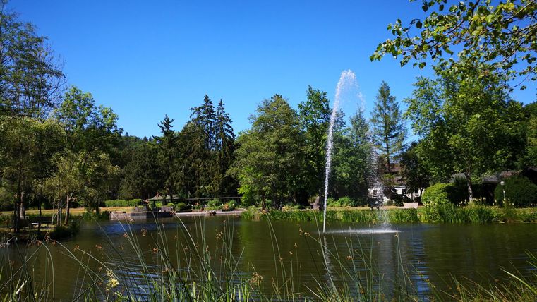 A quiet pond surrounded by trees and green grass. A beautiful water fountain bubbles in the water.