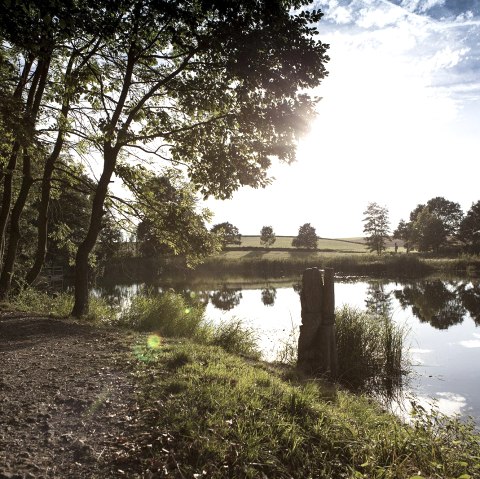 Holzmaar im Herbst, &copy; GesundLand Vulkaneifel