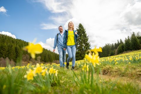Een paar wandelt door een bloeiend veld vol narcissen. Op de achtergrond zijn bomen en een heldere lucht te zien.