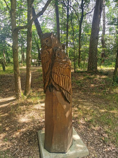 Eine Holzskulptur von zwei Eulen steht auf einem Sockel im Wald. Umgeben von Bäumen und natürlicher Umgebung vermittelt sie Ruhe und Naturverbundenheit.